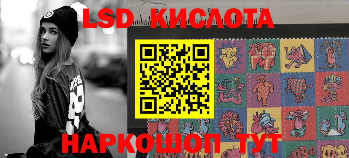 Наркотические марки 1500мкг  Наркотические марки 1500мкг  Вход с VPN  Волхов 