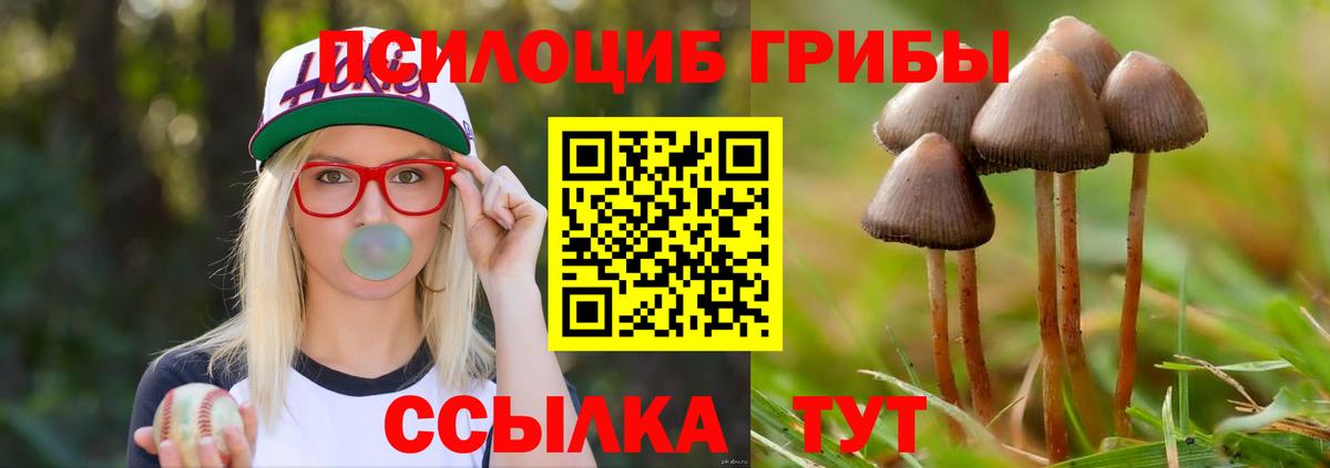 Псилоцибиновые грибы мухоморы  хочу наркоту  Волхов  Вход с VPN 